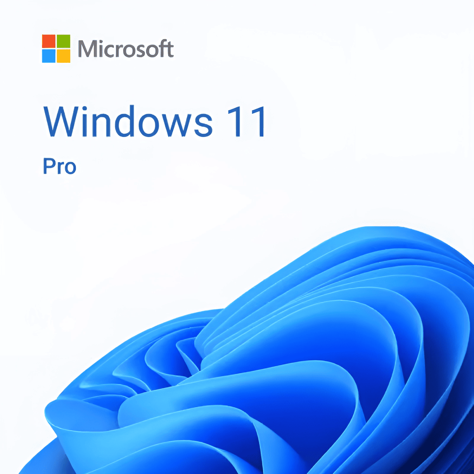 Microsoft Windows 11 Professional