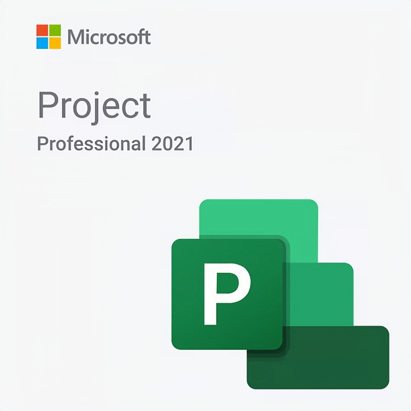 Microsoft Project 2021 Professional