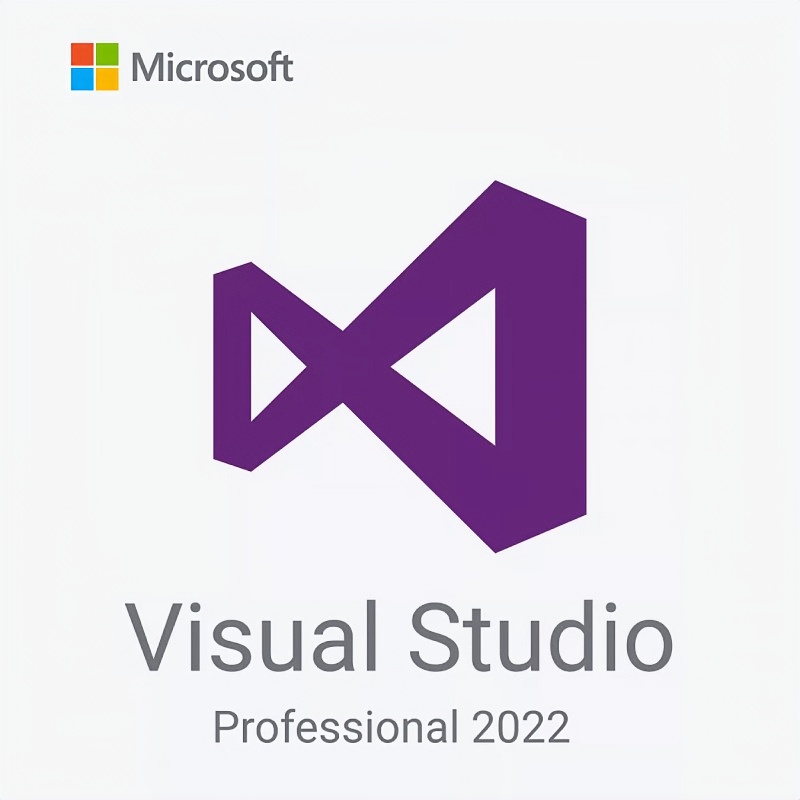 Microsoft Visual Studio 2022 Professional